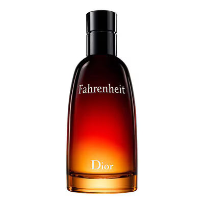 Perfume Christian Dior Fahrenheit EDT 100mL - Masculino