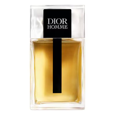 Perfume Christian Dior Homme EDT 100mL - Masculino